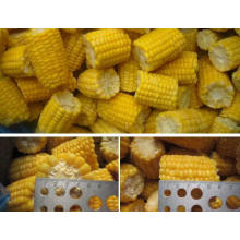 Sweet Corn Kernel Frozen Sweet Corn Chinese Supplier